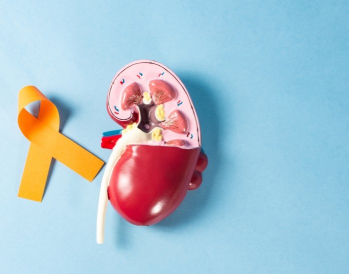 Kidney Disease Cancer Symptoms