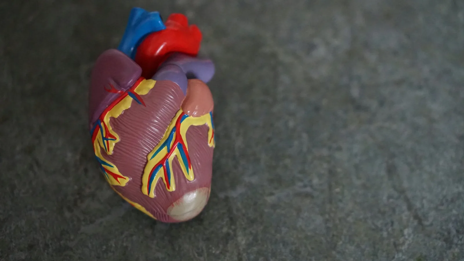 Cardiovascular care at Alliance Heart & Vascular
