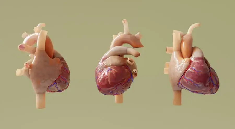 Cardiologist reviewing a heart health plan